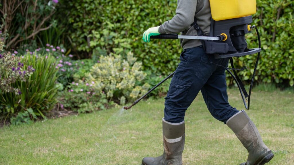 Lawn and Garden Spray control service in karachi